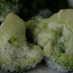 green and white food on white ceramic plate
