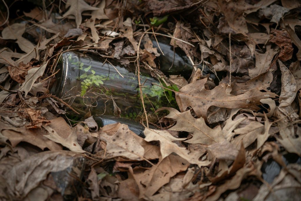 Glass bottle discarded among fallen leaves