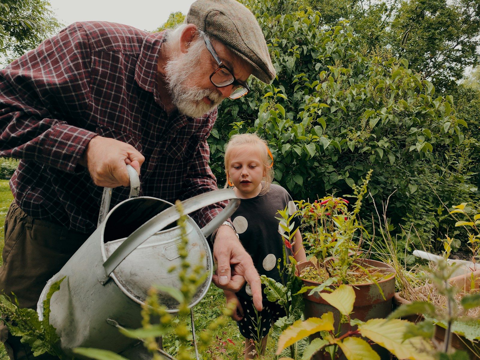 9 Lawn Care Mistakes That Could Ruin Your Yard