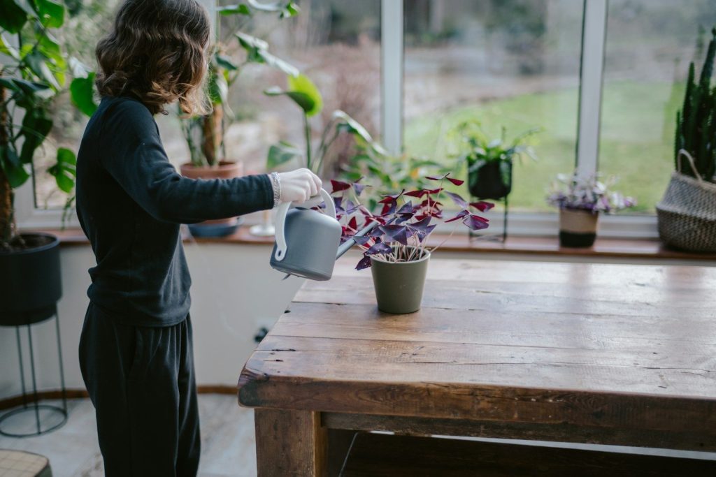 a woman watering a potted plant in a greenhouse