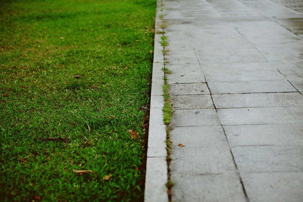 green grass field near gray concrete pathway