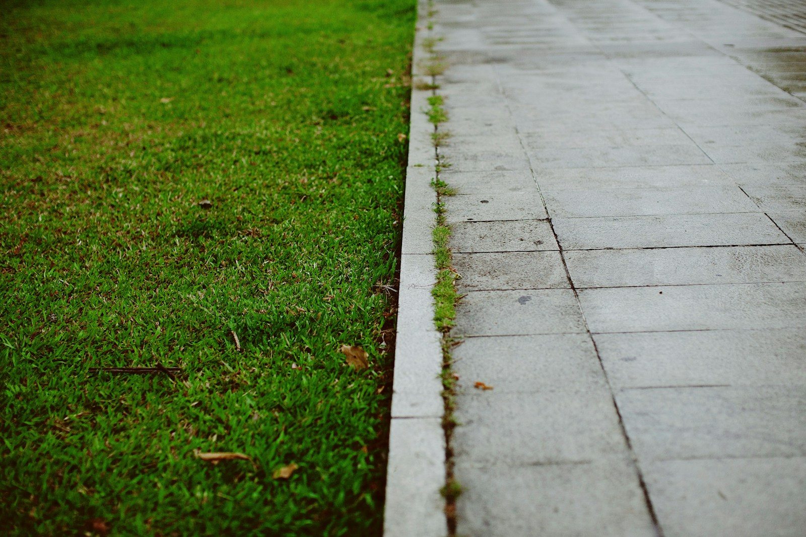 7 Ways to Stop Grass Growing Between Patio Pavers