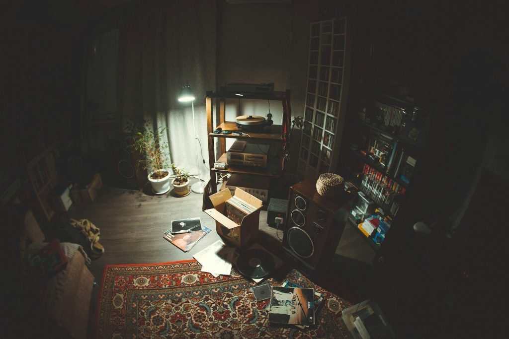 a living room with a cat and bookshelves
