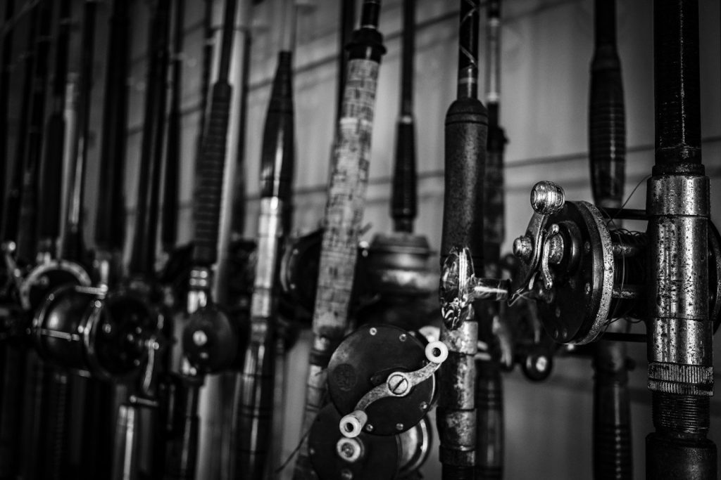 Row of fishing rods and reels