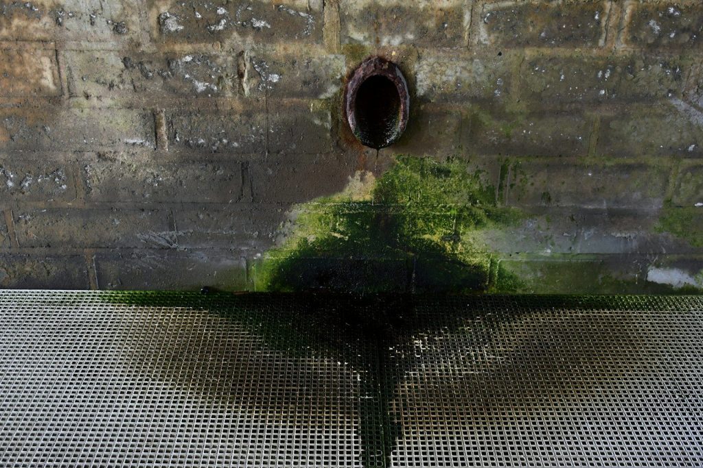 Rusty pipe dripping water onto mossy stone wall.