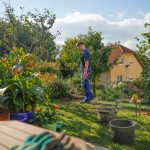 Man walks through a lush garden with a house.