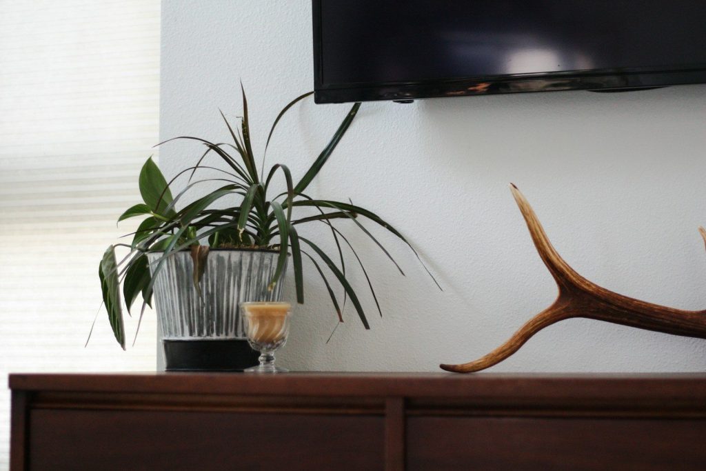 Plant and antler on wooden dresser near television.