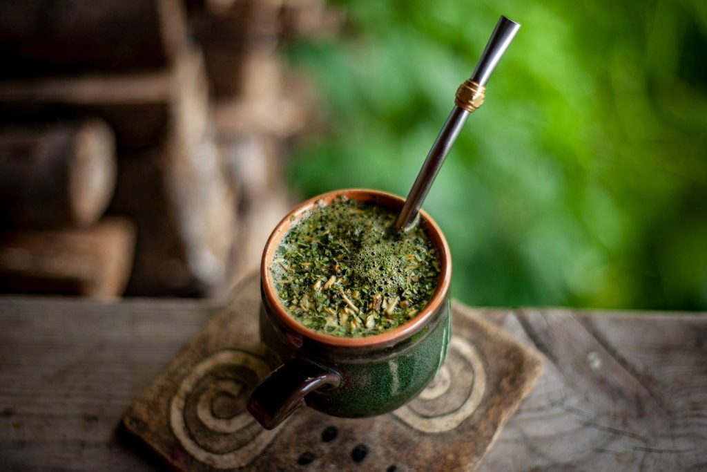 a plant in a pot