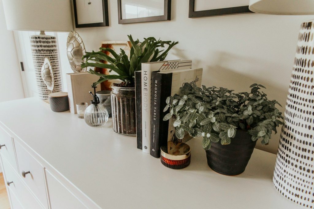 green plant on black pot