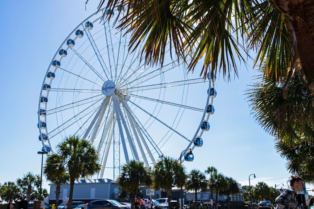 a large ferris wheel sitting next to a palm tree
