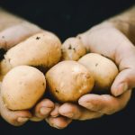 bunch of potatoes