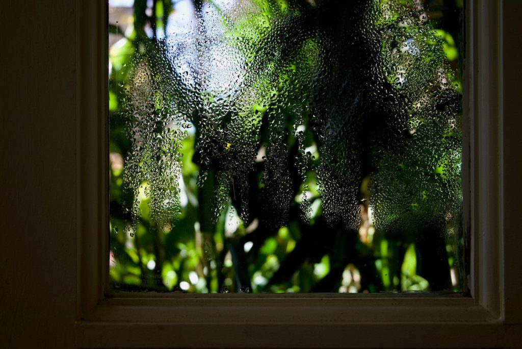 A window with a view of a tree outside
