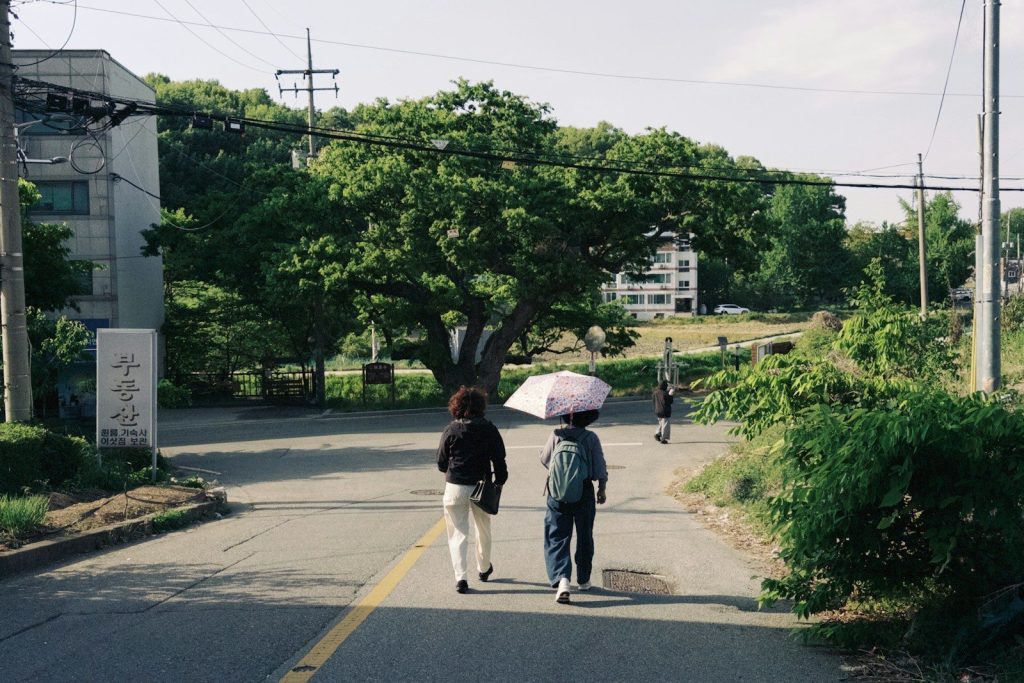 Two people walk down a paved road under an umbrella.