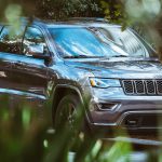 gray Jeep Cherokee beside plants