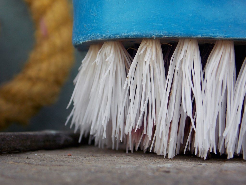 Close-up of a blue brush with white bristles.