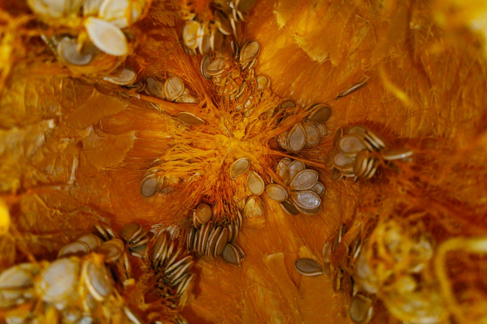 8 Foods Packed With Magnesium for Better Health