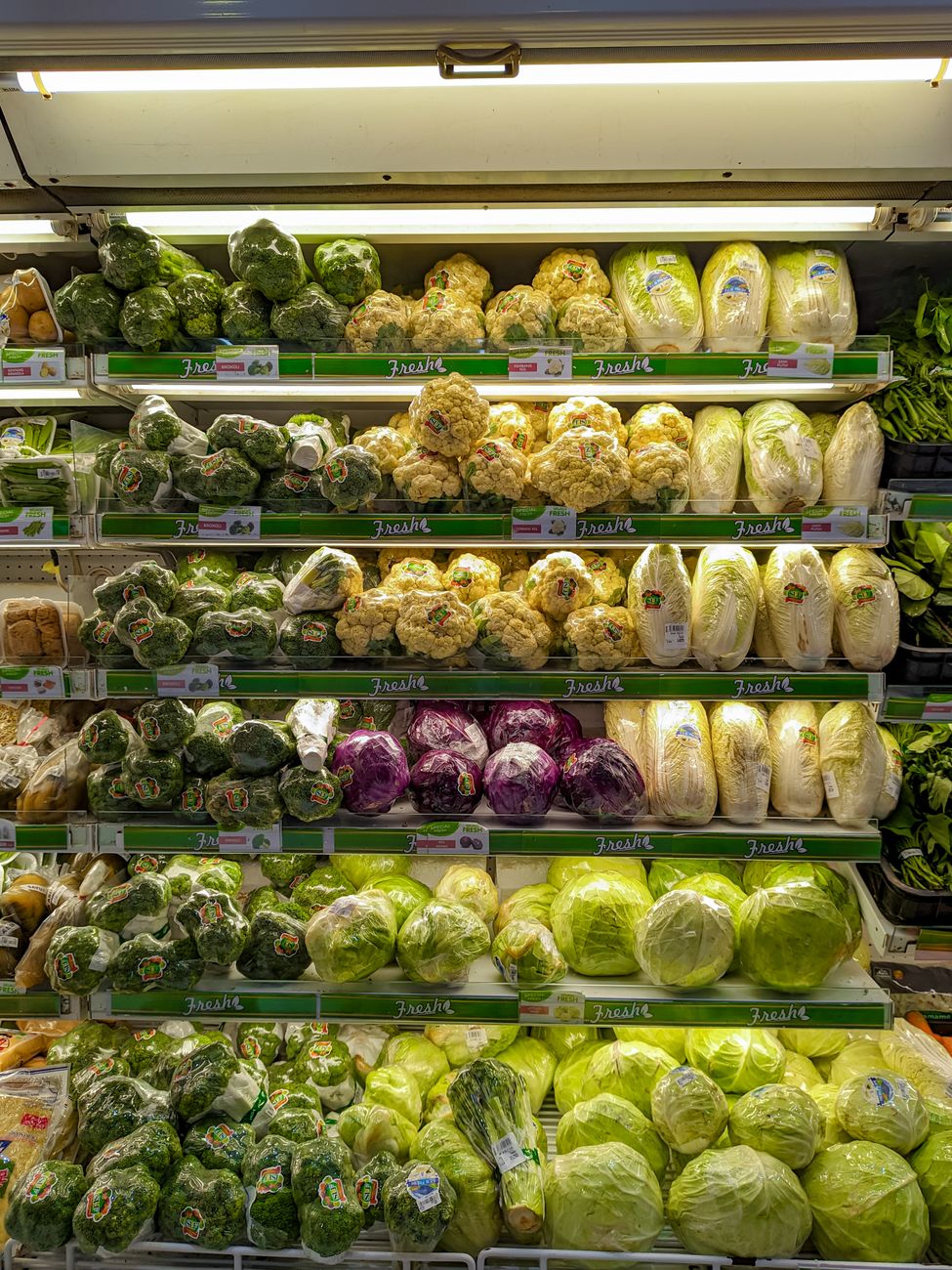 A colorful display of fresh vegetables including broccoli, cabbage, cauliflower, and more in a grocery store.