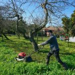 A man mowing the grass with a lawnmower