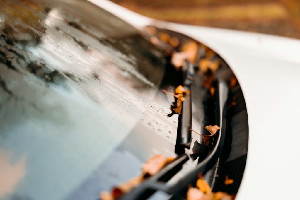 Autumn leaves on a car windshield