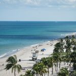 people on beach during daytime