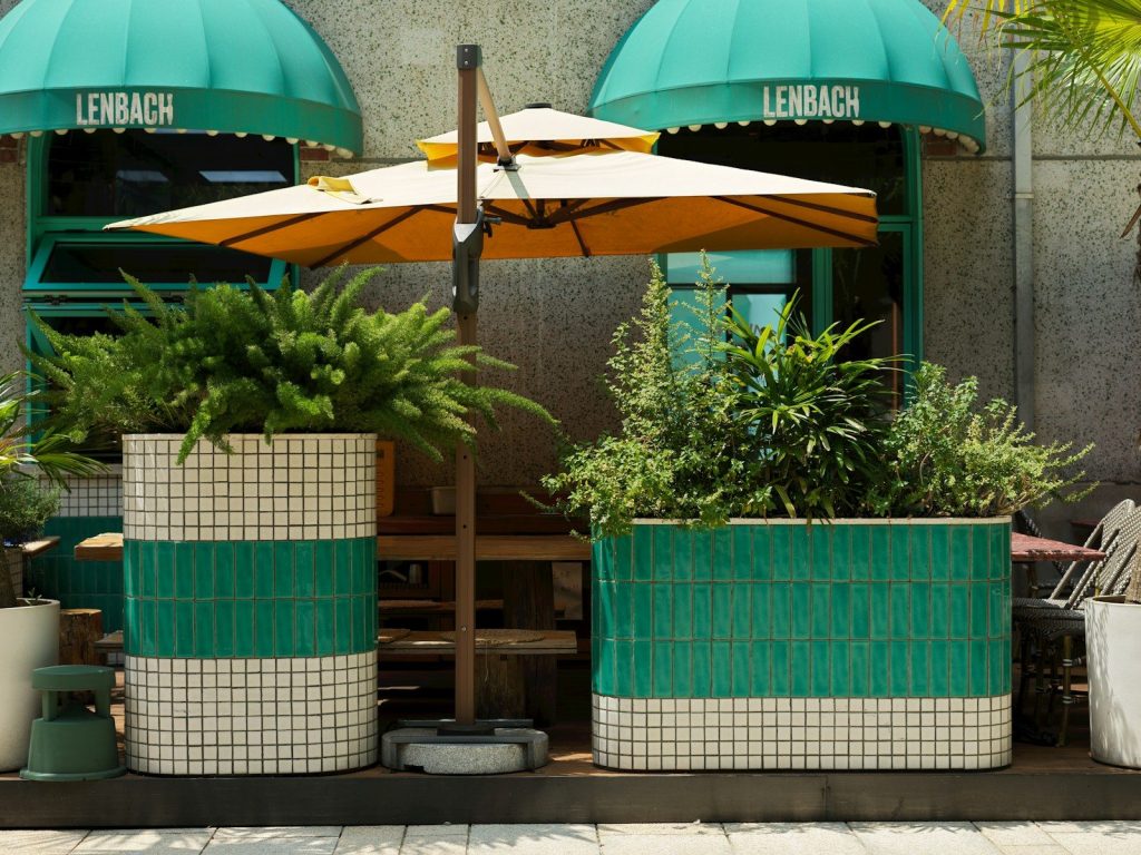 A couple of umbrellas that are over some plants