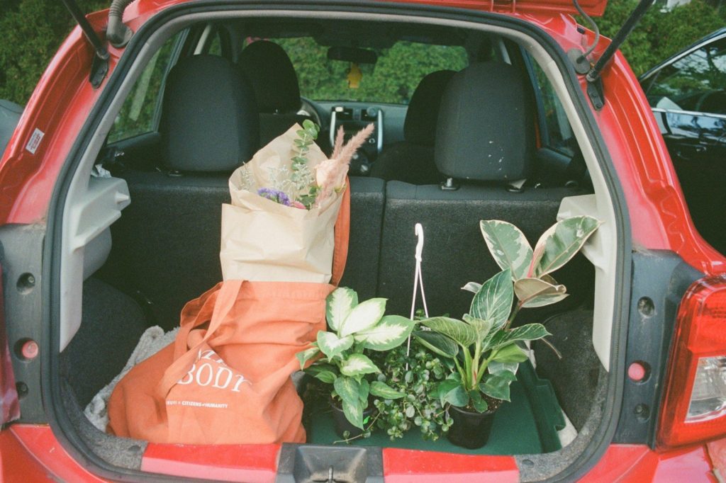 A red car with a bunch of plants in the back