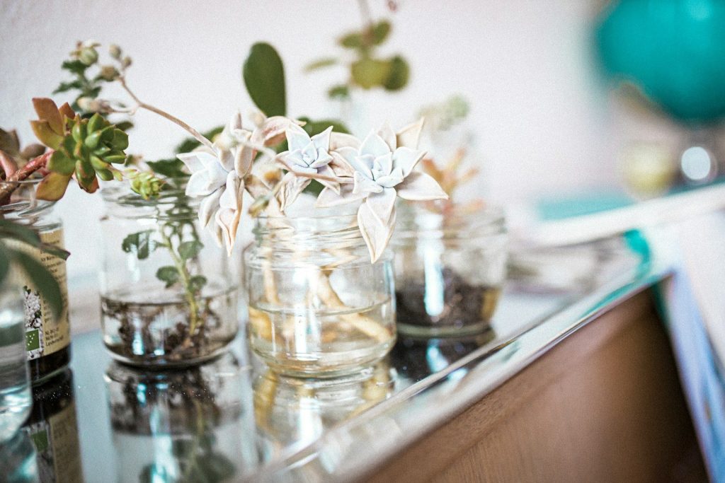 white and green flower in clear glass jar