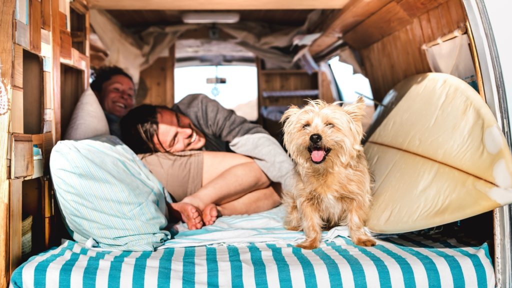 Smart RV Pet Travel Habits That Make Road Trips Easier, Safer, and More Affordable