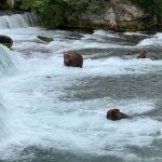 8 Smart Ways to Experience Katmai Without Wasting Your Travel Budget