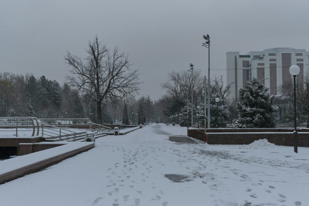 Snowy path leads through a park on a cloudy day.