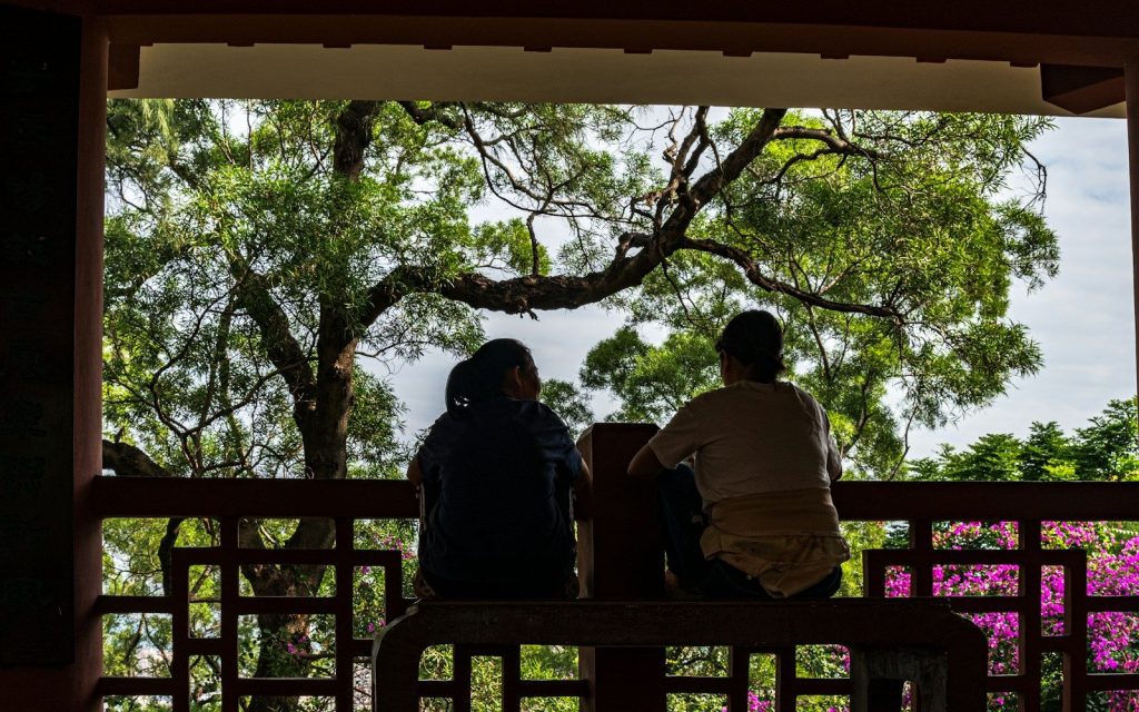 Two people sit on a bench looking at trees