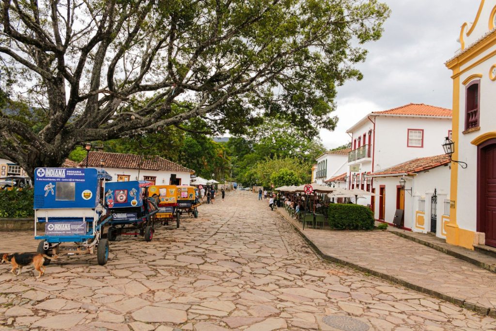 Cobblestone street with horse-drawn carts and buildings.