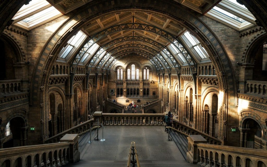natural history museum interior arched hall
