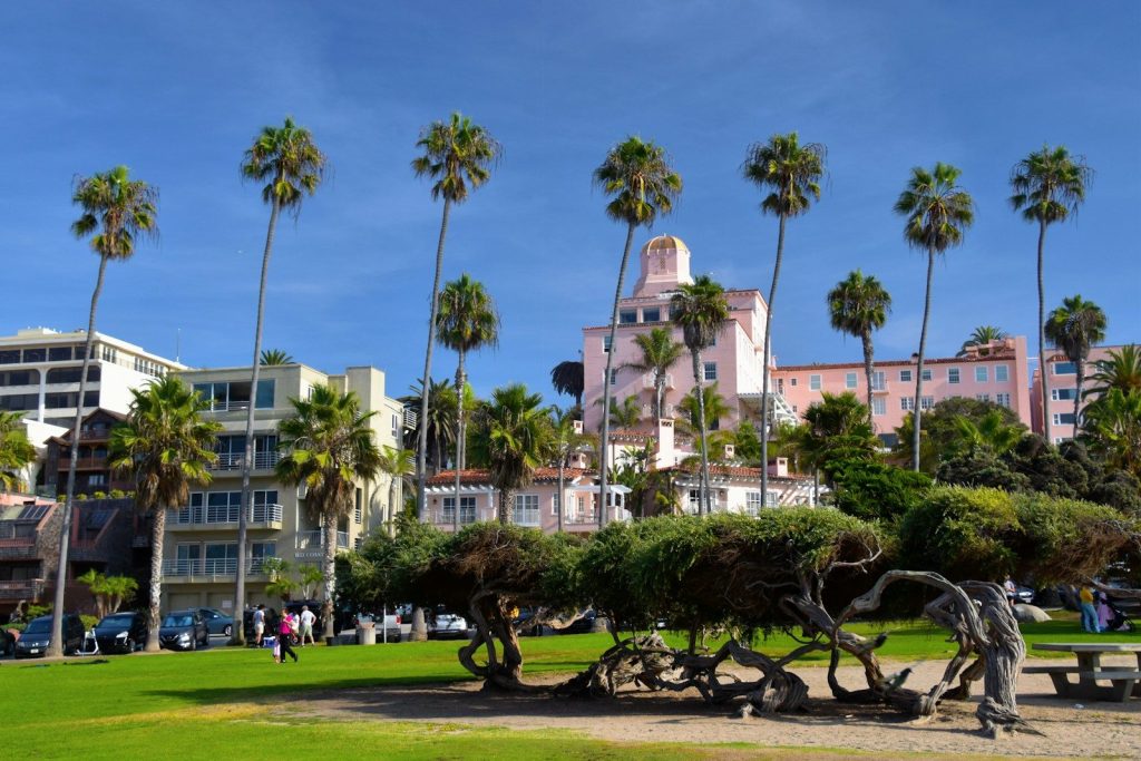 a park with palm trees and a building in the background