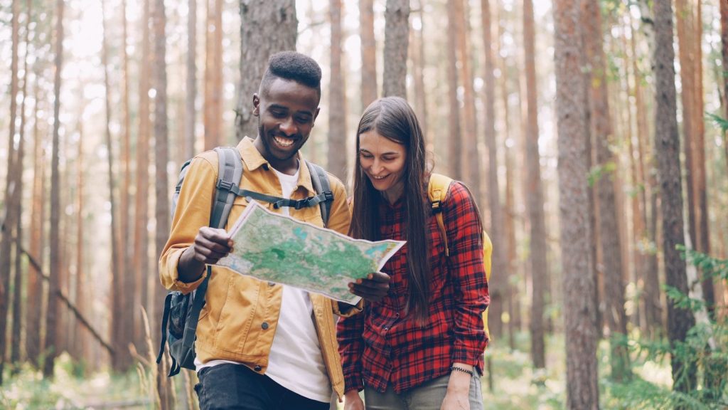 Couple looking at map in a pine forest