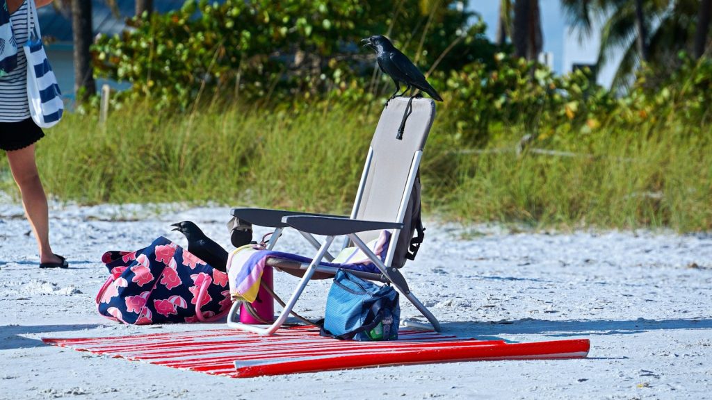 gray folding chair
