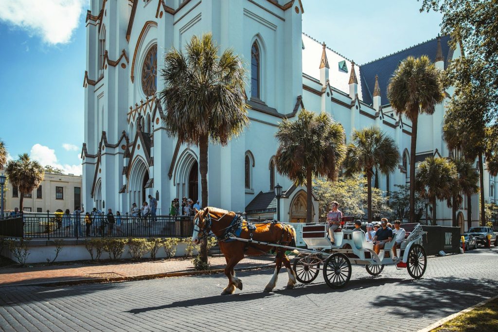 a horse carriage on the street